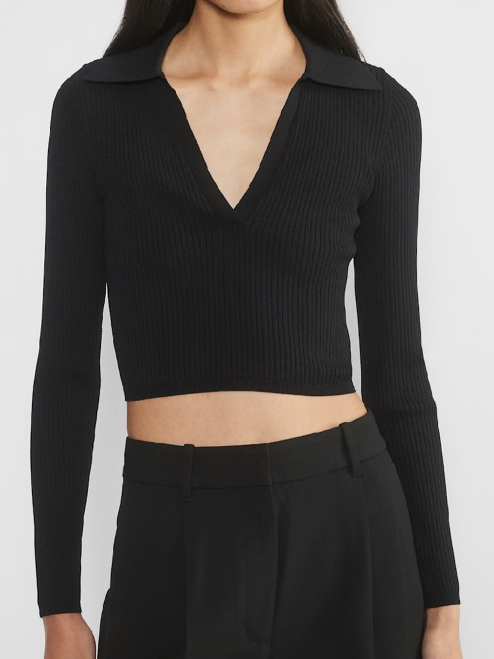 Aritzia Babaton Ribbed Sculpt Knit Sweater excerpt Polo Longsleeve 9090